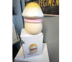 BOITE MUSHROOM PM &K AMSTERDAM 38