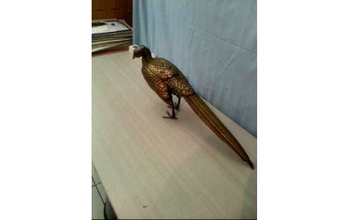 FASANSKULPTUR REALIS. MESSING M. ÖFFNUNG