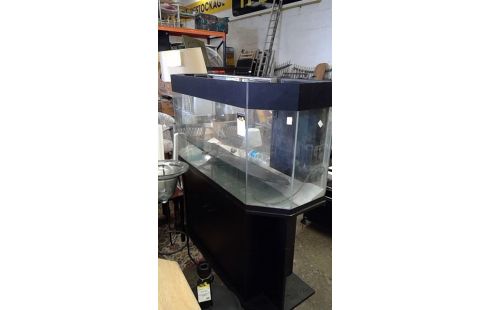 ACUARIO MODELO GRANDE