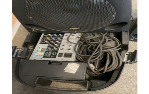 ENCEINTE ENSEMBLE SONO STÉRÉO 2X 100W AVES PIEDS