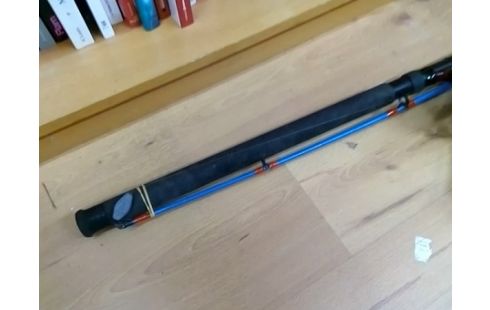 CANNE A PECHE AVEC MOULINET PEERLESS BAM 530