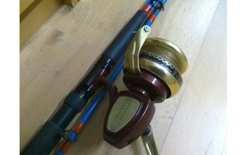 CANNE A PECHE AVEC MOULINET PEERLESS BAM 530