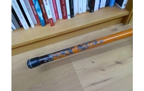 CANNE A PECHE AVEC MOULINET GOLDSTAR 3000