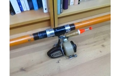 CANNE A PECHE AVEC MOULINET GOLDSTAR 3000