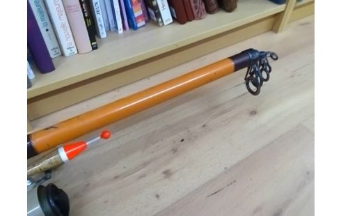 CANNE A PECHE AVEC MOULINET GOLDSTAR 3000