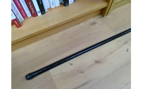 CANNE A PECHE CA 300V