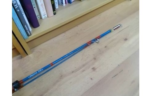 CANNE A PECHE DAKOTA 210 AVEC MOULINET