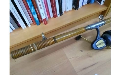 CANNE A PECHE AVEC MOULINET PEERLESS 670