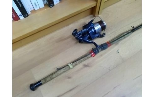 CANNE A PECHE SILSTAR AVEC MOULINET