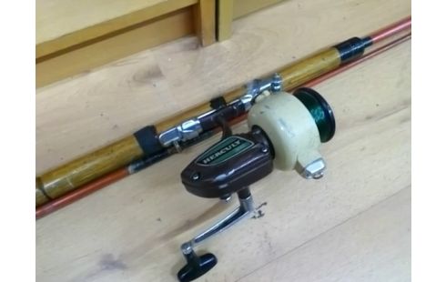 CANNE A PECHE AVEC MOULINET HERCULY 300