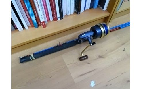 CANNE A PECHE BLEUE AVEC MOULINET PEERLESS 620