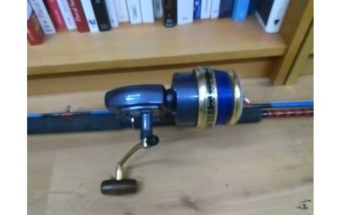CANNE A PECHE BLEUE AVEC MOULINET PEERLESS 620