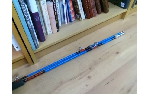CANNE A PECHE BLEUE AVEC MOULINET PEERLESS 620