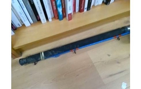 CANNE A PECHE BLEUE AVEC MOULINET PEERLESS BAM 720