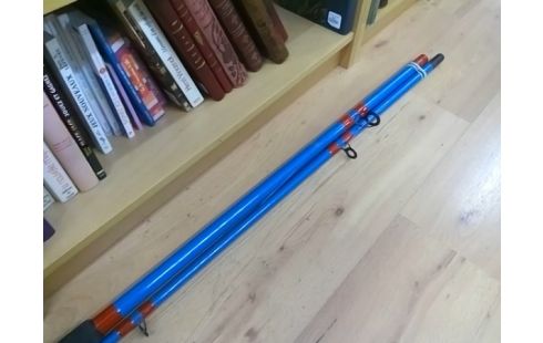 CANNE A PECHE BLEUE AVEC MOULINET PEERLESS BAM 720