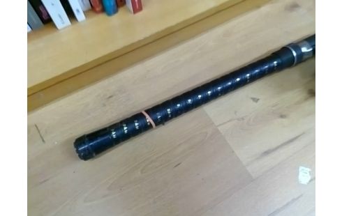 CANNE A PECHE AVEC MOULINET DAIWA DF 100