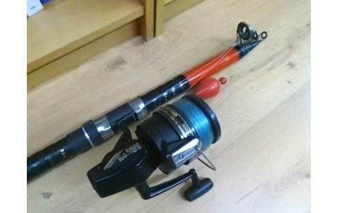 CANNE A PECHE AVEC MOULINET DAIWA DF 100