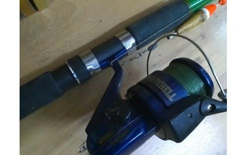 CANNE A PECHE AVEC MOULINET MITCHELL ORCA 80S