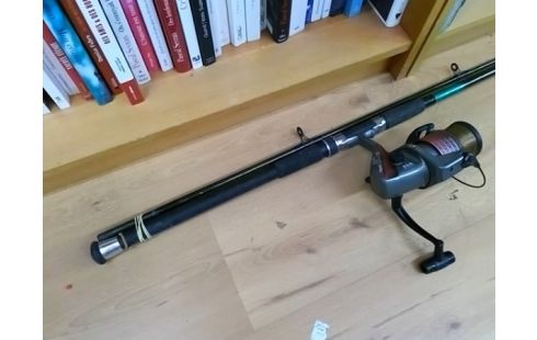 CANNE A PECHE PARA BOAT 300 AVEC MOULINET QUICK