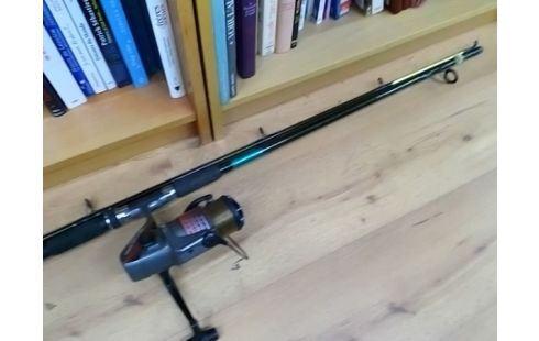 CANNE A PECHE PARA BOAT 300 AVEC MOULINET QUICK