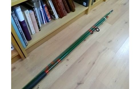 CANNE A PECHE AVEC MOULINET QUICK SEL 365