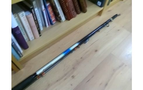 CANNE A PECHE CARBONE RANGOON AVEC MOULINET MITCHELL 498