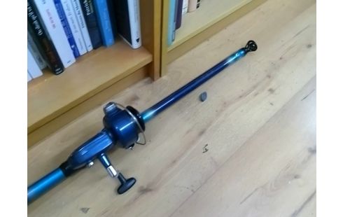 CANNE A PECHE BLEUE AVEC MOULINET HERCULY 300