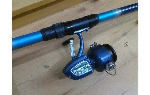 CANNE A PECHE BLEUE AVEC MOULINET HERCULY 300