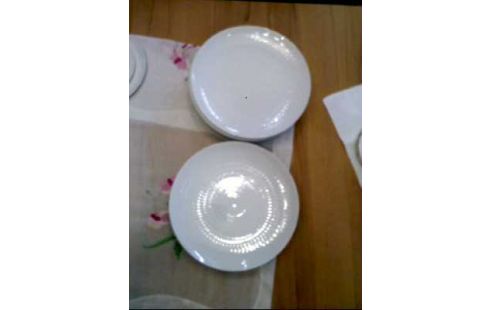 TELLER 20-TLG. WEIß <ROSENTHAL>