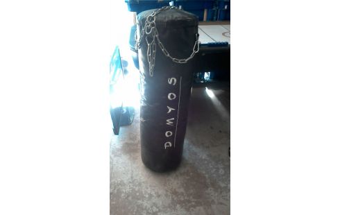 SAC DE FRAPPE + GANTS DE BOXE