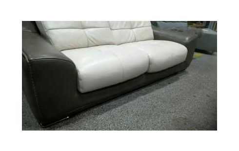 CANAPE CUIR BICOLORE 