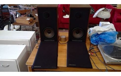 HAUTS PARLEURS SCOTT S 20