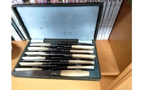 MENAGERE 12 COUTEAUX