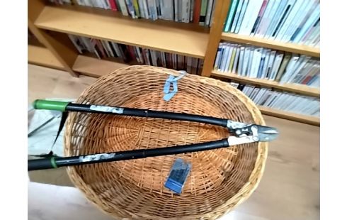 COUPE BRANCHE COUPE BORDURE