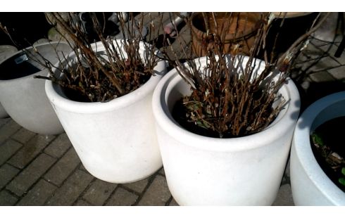 MACETERO BLANCA PVC MET, , PLANTA LA UNIDAD