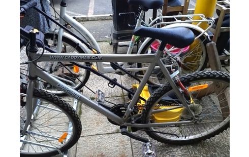 VELO CADDYMAN ANCIEN GRIS