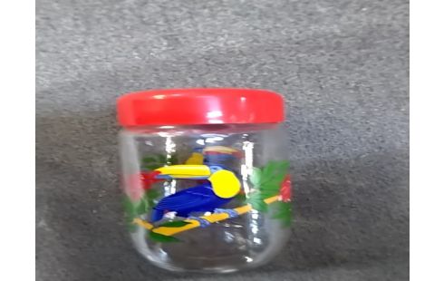 BOCAL CONSERVATION TOUCAN