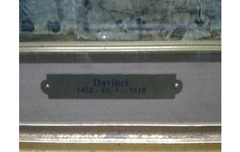 KADER MET PRENT DA VINCI