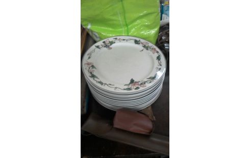 ASSIETTES VILLEROY ET BOCH LOT DE 12