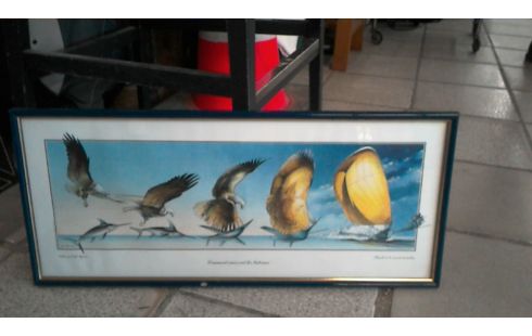 CADRE LES BATEAUX  EN L' ETAT