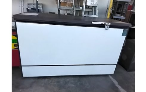 CONGELATEUR COFFRE 400L BRUT