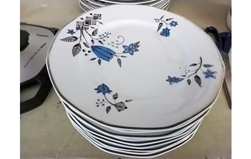 LOT DE ASSIETTE DECO