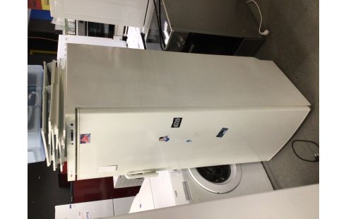 FRIGO BOSCH COOLER