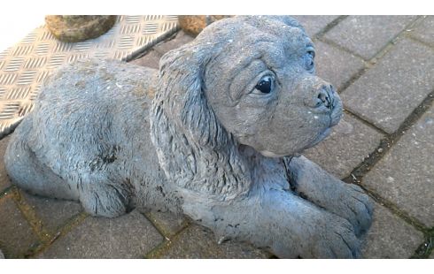 TUINBEELD BETON HOND