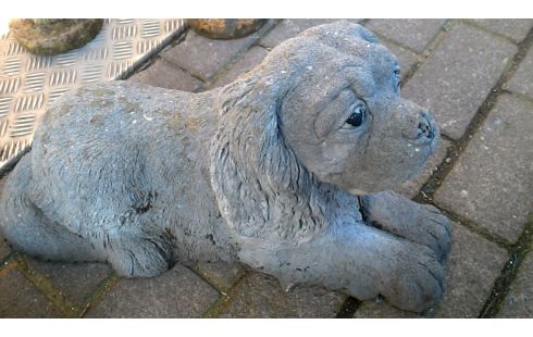 TUINBEELD BETON HOND