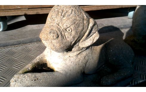 TUINBEELD BETON HOND