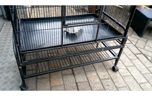 VOGELKOOI. GROOT ANTRACIET MOBIEL