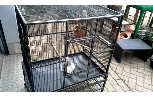 VOGELKOOI. GROOT ANTRACIET MOBIEL