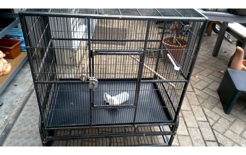 VOGELKOOI. GROOT ANTRACIET MOBIEL