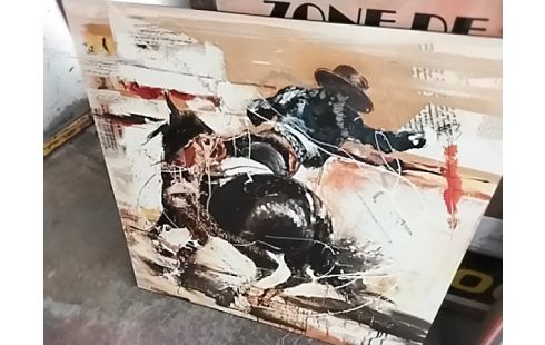 CADRE REPRODUCTION DVS